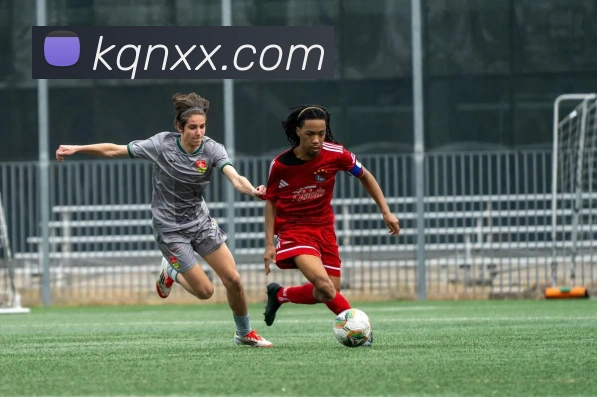 九游j9官网首页进入平台生态图